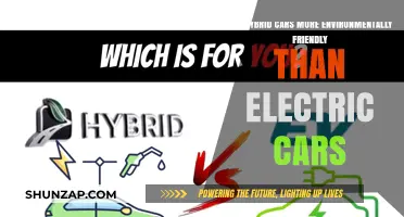 Hybrid vs. Electric: Which Car is Greener for the Environment?