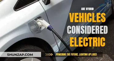 Hybrid Vehicles: Electric or Not?