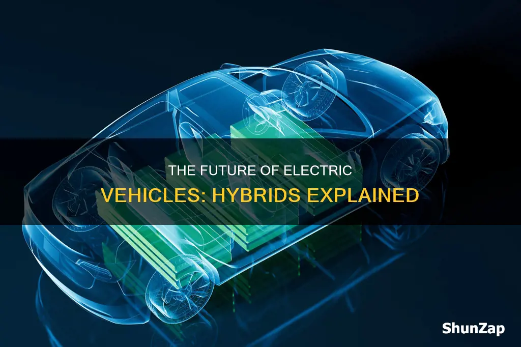 are hybrids electric vehicles