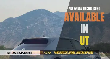 Electric Hyundai Ioniqs: Available in Utah?