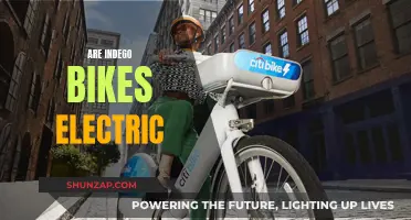 Indego Bikes: Electric or Manual?