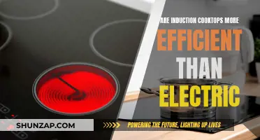 Induction Cooktops: Efficient Alternative to Electric?
