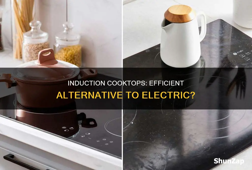 are induction cooktops more efficient than electric