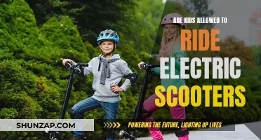 Electric Scooters: Safe for Kids or Not?