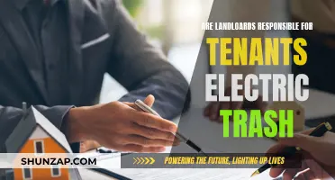 Landlord's Responsibility for Tenant's Electric Trash: What's Covered?