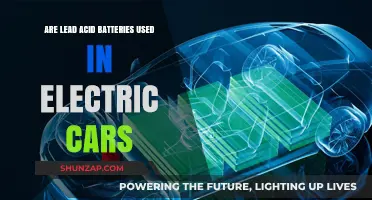 Are Lead-Acid Batteries Still Relevant in Electric Vehicles Today?