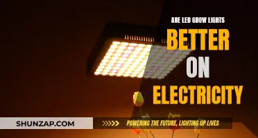 LED Grow Lights: Efficient Electricity Usage for Greener Gardens