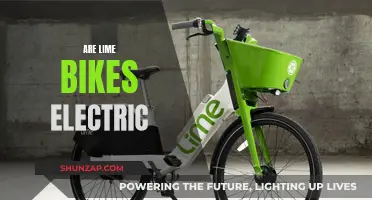 The Evolution of Lime Bikes: Electric or Manual?