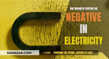 Magnets' Polarity: Positive or Negative Electricity?