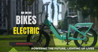 Metro Bikes: Electric or Not?