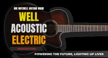 Mitchell Acoustic-Electric Guitars: Quality Craftsmanship?