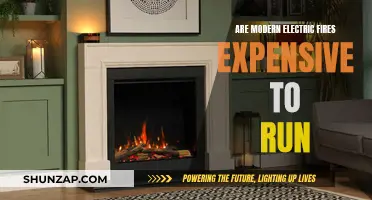 Electric Fires: Costly to Run or Energy Efficient?