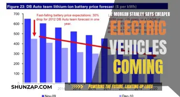 Morgan Stanley Predicts: Affordable Electric Vehicles on the Horizon