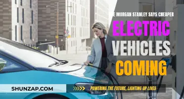Electric Vehicles: Morgan Stanley Predicts Price Drop