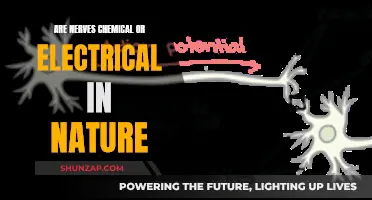 Understanding Nerve Function: Chemical and Electrical Balance