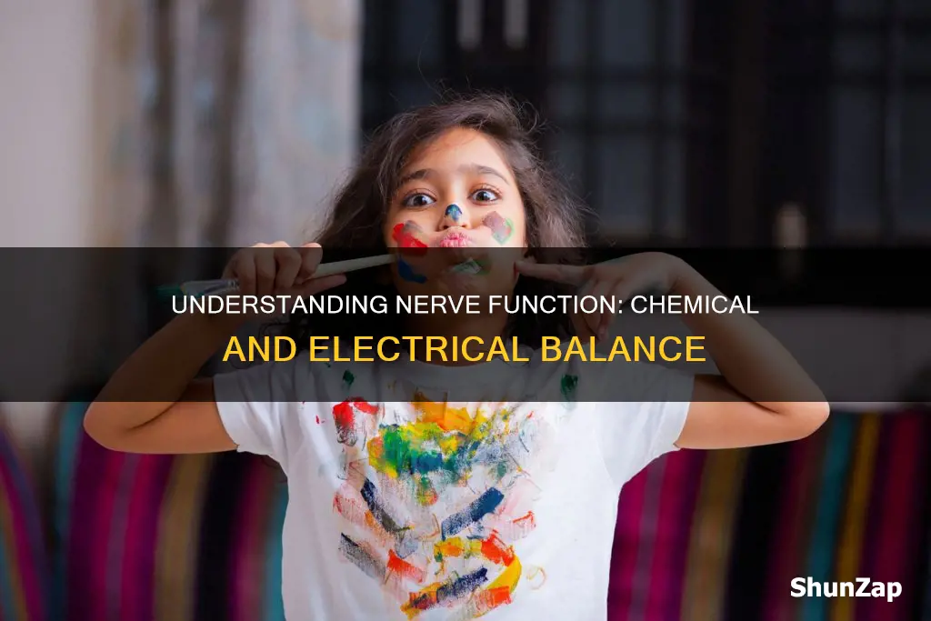 are nerves chemical or electrical in nature