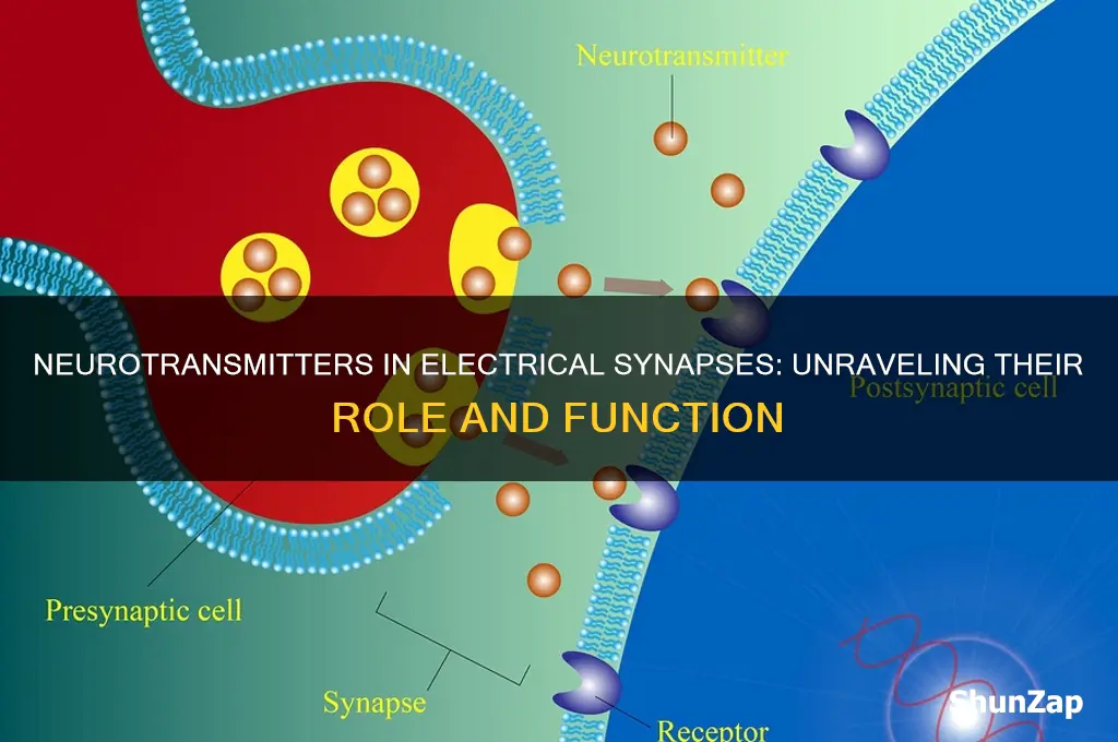 are neurotransmitters are used for electrical synapses