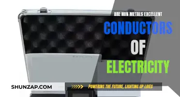 Non-Metals: Good Conductors of Electricity?
