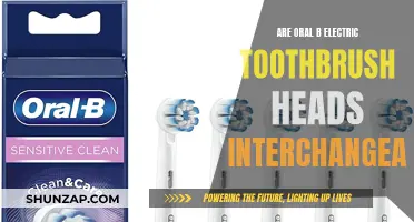 Oral-B Electric Toothbrush Heads: Are They Interchangeable?