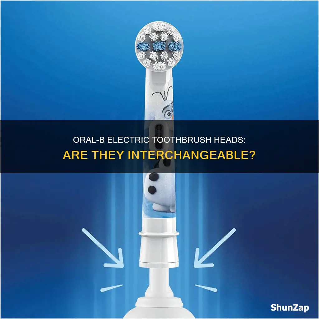 are oral b electric toothbrush heads interchangeable