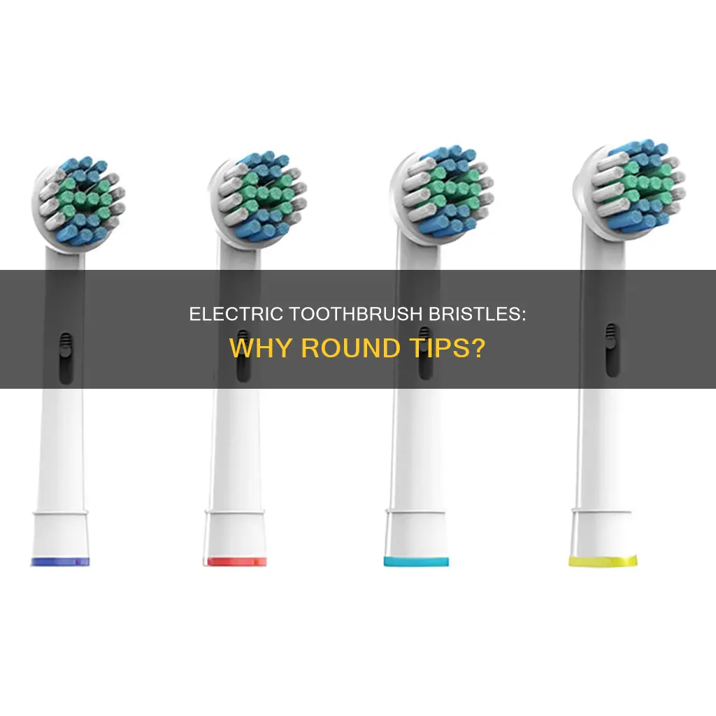 are oral electric toothbrush bristles tips round