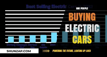 Are Electric Cars Gaining Traction? Consumer Trends and Buying Behavior