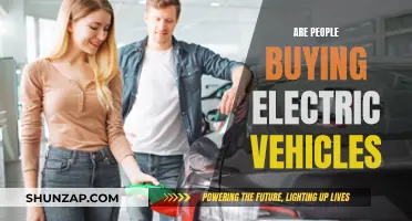 Electric Vehicle Sales: A Rising Trend or a Passing Fad?