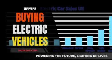 Electric Vehicles: The Consumer Shift and Demand