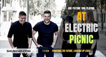 Picture This: Electric Picnic's Must-See Performance