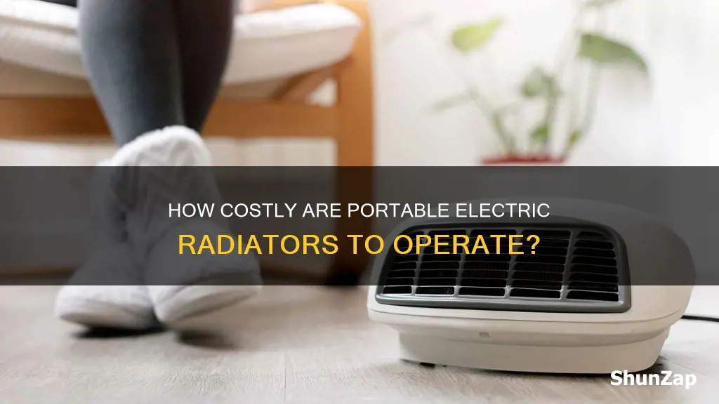 are portable electric radiators expensive to run