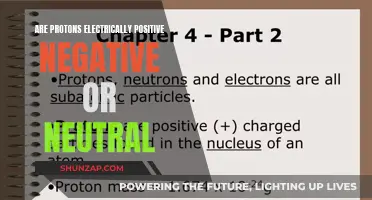 What is the Electrical Charge of a Proton?
