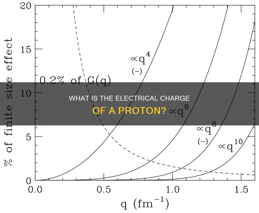 are protons electrically positive negative or neutral