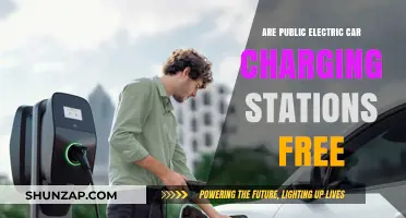 Are Public Electric Car Charging Stations Free? The Truth Revealed