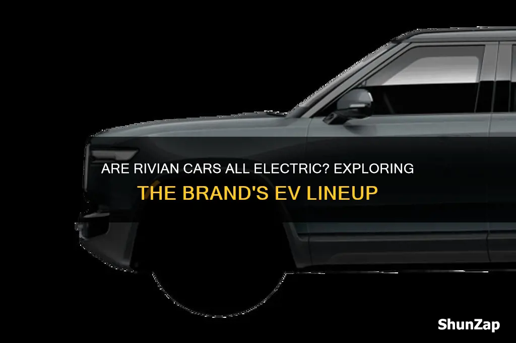 are rivian cars all electric
