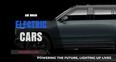 Are Rivian Electric Cars the Future of Sustainable Transportation?
