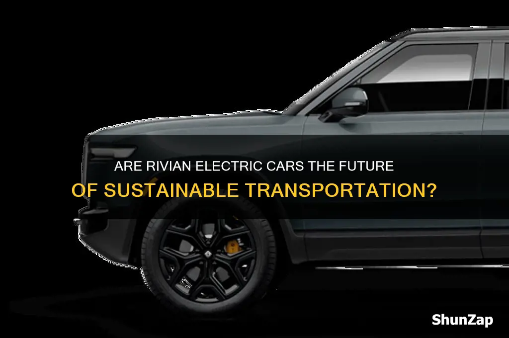 are rivian electric cars