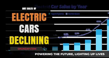 Electric Car Sales Slump: Fact or Fiction? Analyzing the Trend