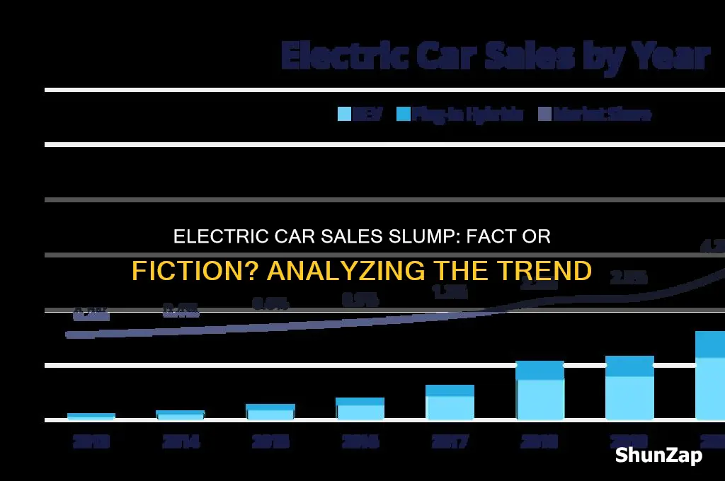 are sales of electric cars declining