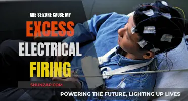 Electrical Firing Imbalance: Understanding Seizure Triggers and Management