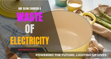 Slow Cookers: Energy Efficient or Electricity Drain?