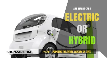 Smart Cars: Electric, Hybrid, or Both? Exploring Eco-Friendly Options