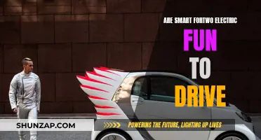 Smart Fortwo Electric: Fun, Tiny, and Electric Thrill?