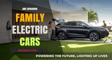 Spacious Family Electric Cars: Comfort, Sustainability, and Practicality Explored
