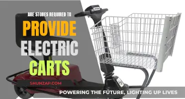 Electric Cart Accessibility: Stores' Legal Obligation to Customers