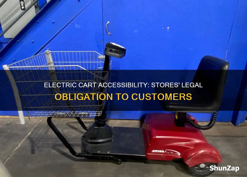 are stores required to provide electric carts