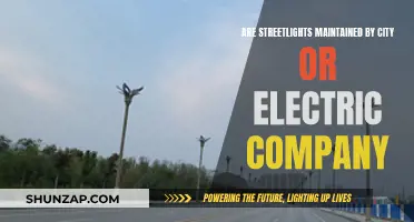 Who Maintains Streetlights? City or Electric Company?