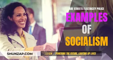 Electricity, Streets, and Police: Socialism's Infrastructure?