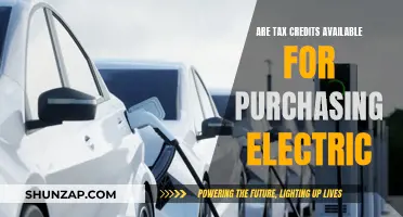 Tax Breaks for Electric Car Buyers: What You Need to Know