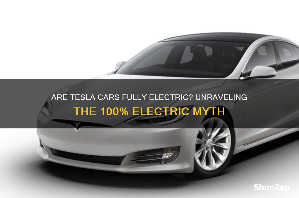 are tesla cars 100 electric