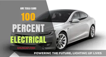 Are Tesla Cars Fully Electric? Unraveling the 100% Myth